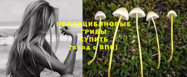 трава Беломорск