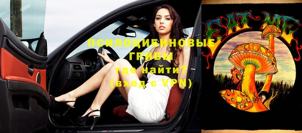 прущие грибы Протвино