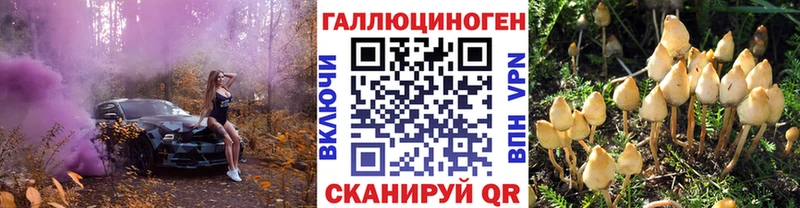 Псилоцибиновые грибы GOLDEN TEACHER  Дюртюли 